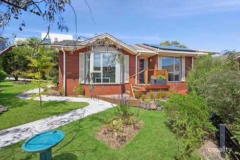 Property photo of 11 Ardlui Drive Newtown VIC 3220