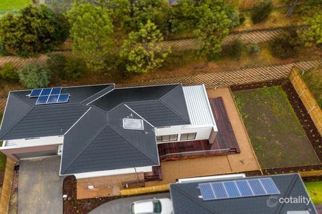 Property photo of 6 Pindan Court Mount Waverley VIC 3149