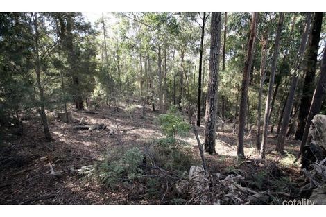 Property photo of 113 Kiaka Road Nethercote NSW 2549