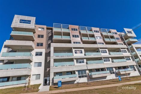 41 Philip Hodgins St, Wright, ACT 2611