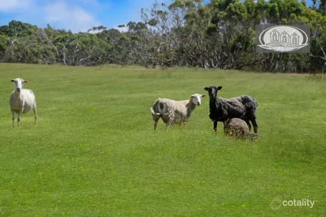 Property photo of 134 Crowes Road Bolwarra VIC 3305