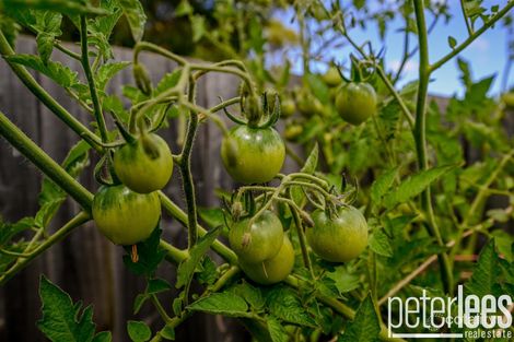 Property photo of 7 Browne Street Hadspen TAS 7290