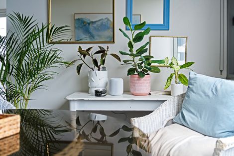 Property photo of 49/6A Defries Avenue Zetland NSW 2017