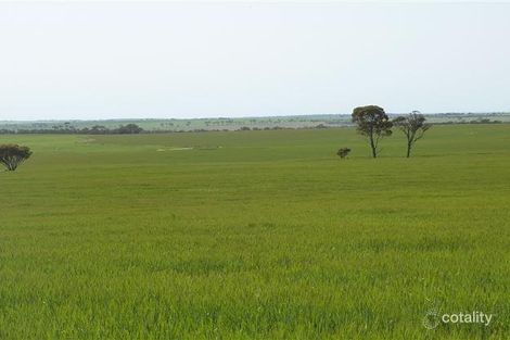 2635 Nambadilling Rd, Kurrenkutten, WA 6375