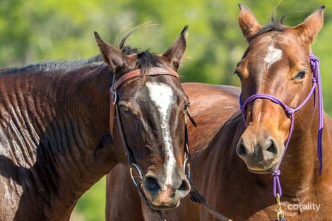 105 Bushland Dr, Samsonvale, QLD 4520