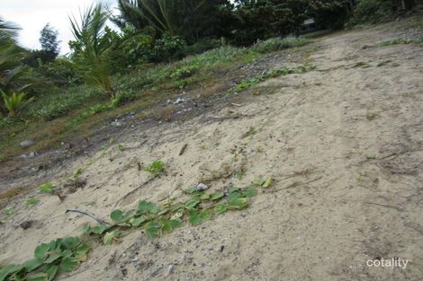 Property photo of 19 Inarlinga Road Cowley Beach QLD 4871