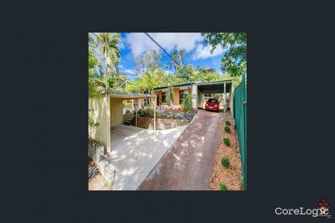 Property photo of 3 Nerine Street Kingston QLD 4114