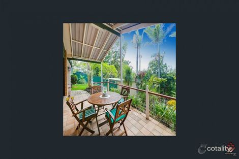 Property photo of 3 Nerine Street Kingston QLD 4114