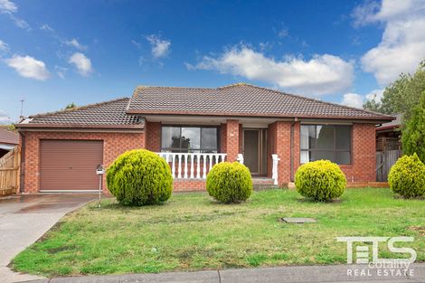 Property photo of 54 Pinnaroo Circuit Meadow Heights VIC 3048