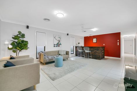 Property photo of 6 Malbon Street Eight Mile Plains QLD 4113