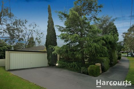 Property photo of 14 Tanunda Street Vermont South VIC 3133