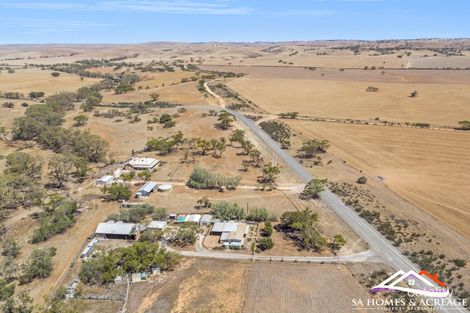 Property photo of 3358 Three Chain Road Towitta SA 5353