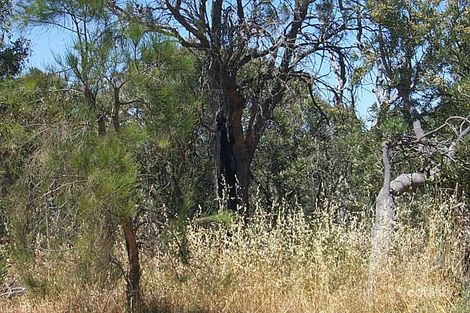 10 Benmuni Rd, Wanneroo, WA 6065