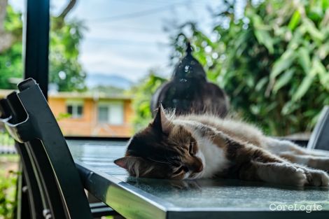 Property photo of 17 McNally Street Bellingen NSW 2454