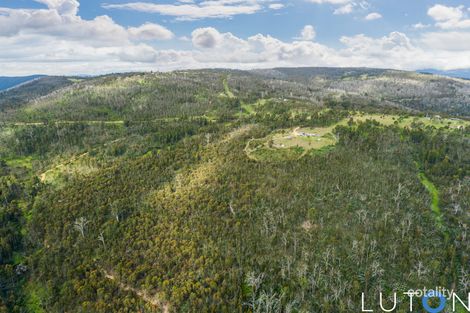 Property photo of 248 Calabash Road Tinderry NSW 2620