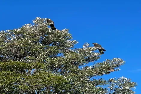 Property photo of 112 David Street East Devonport TAS 7310