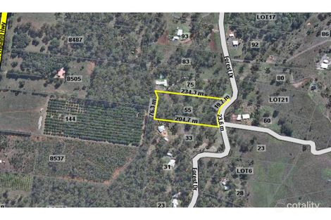 Property photo of 55 Forest Drive Hampton QLD 4352