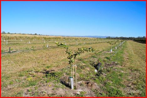 371 Malone Rd, Mareeba, QLD 4880