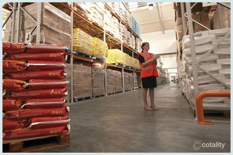 117 Sussex St, Pascoe Vale, VIC 3044