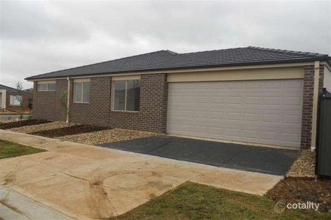 Property photo of 11 Beltana Avenue Tarneit VIC 3029