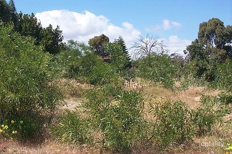 8 Anemone Way, Mullaloo, WA 6027