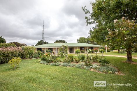 Property photo of 85 Clarksons Road Naracoorte SA 5271