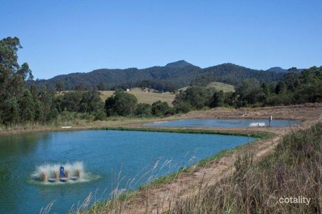 Property photo of 117 Bulli Creek Road Byabarra NSW 2446