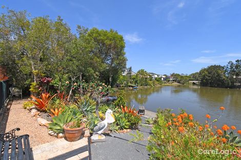 Property photo of 17 Satinwood Avenue Urraween QLD 4655