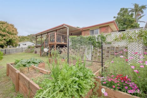 Property photo of 1 Columbia Avenue Clinton QLD 4680