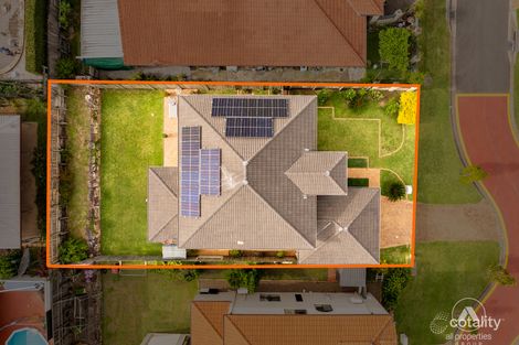 Property photo of 14 Nigella Circuit Drewvale QLD 4116