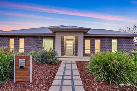 Property photo of 20 Treweck Avenue Hillcrest SA 5086