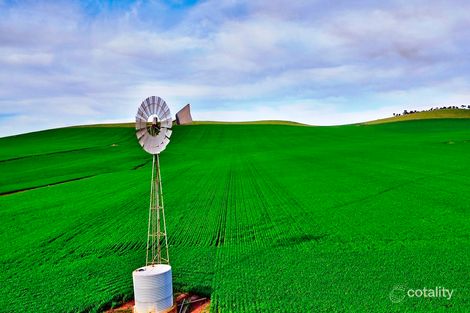 304 Calcannia Rd, Barinia, SA 5453