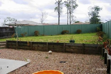 Property photo of 11 Morehead Avenue Mount Druitt NSW 2770