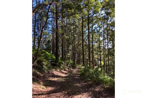 Property photo of 11/27 Skerman Lane Booroobin QLD 4552