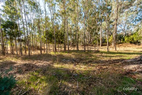 Property photo of 41 Eildon-Jamieson Road Eildon VIC 3713