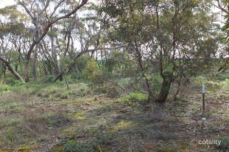 Property photo of 4 First Street Snowtown SA 5520