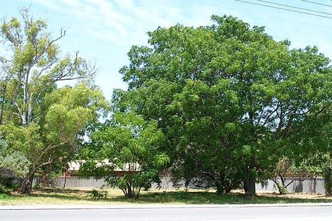 Property photo of 2 Phipps Street Bicton WA 6157