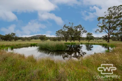 Property photo of 2615 Torrington Road Torrington NSW 2371