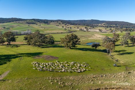 635 Grove Creek Rd, Triangle Flat, NSW 2795