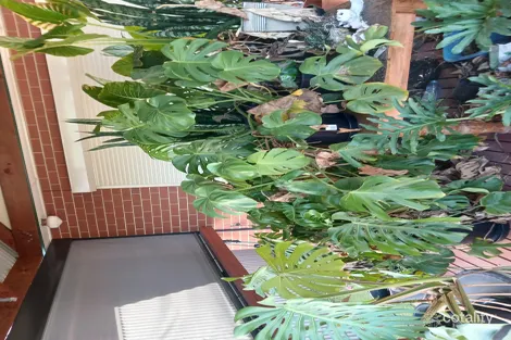 Property photo of 6 Fourth Avenue St Morris SA 5068