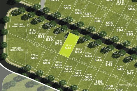 Property photo of 12 Edinburgh Street Ripley QLD 4306