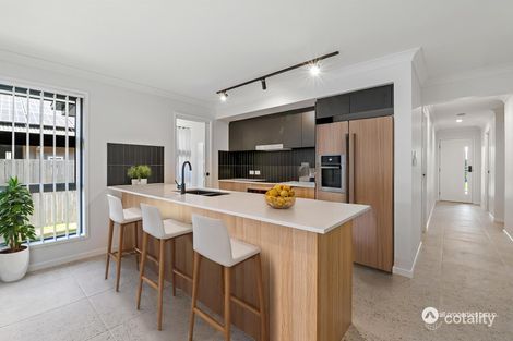 Property photo of 41 Neumann Drive Yarrabilba QLD 4207