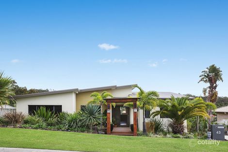 Property photo of 43 Cordyline Drive Reedy Creek QLD 4227