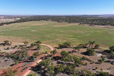 Back Hillston Rd, Tabbita, NSW 2652