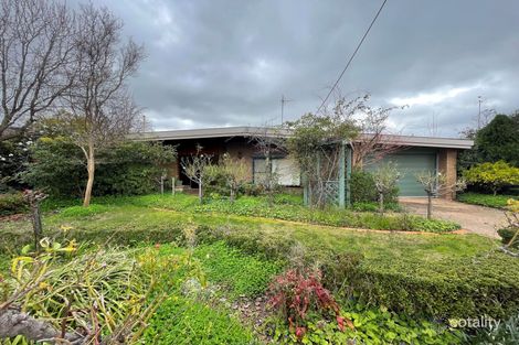 Property photo of 173 Balaclava Road Shepparton VIC 3630
