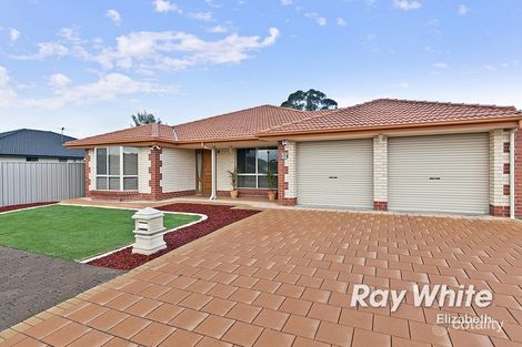 Property photo of 15 Golden Circuit Parafield Gardens SA 5107