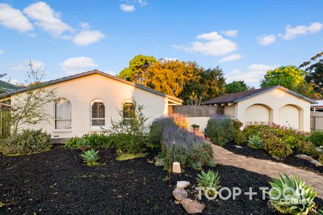 217 Hancock Rd, Banksia Park, SA 5091