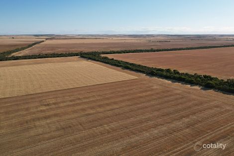 293 Breed Rd, South Newdegate, WA 6355