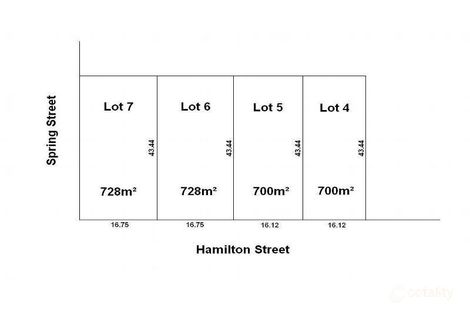 4a Hamilton St, Camperdown, VIC 3260