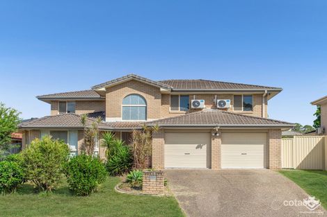 Property photo of 15 Ferguson Place Coopers Plains QLD 4108